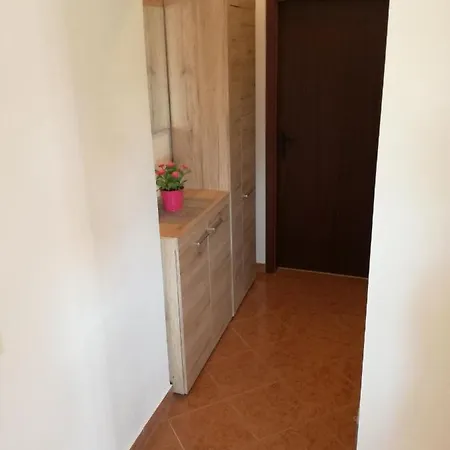 Vesna Apartment *